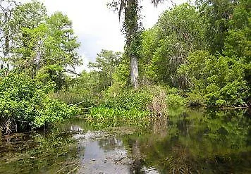 Springhill 3* Tallahassee