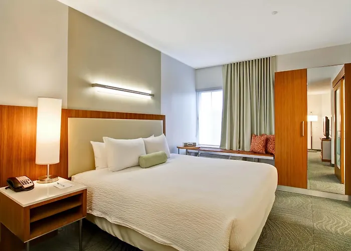 Springhill Tallahassee